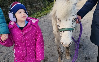 Horse-Riding at Lilliput