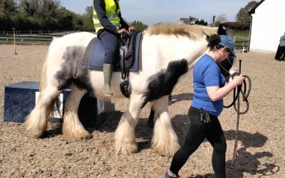 Better Together Riding Stables